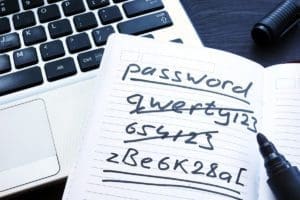 Read more about the article Why the Panic over Passwords?